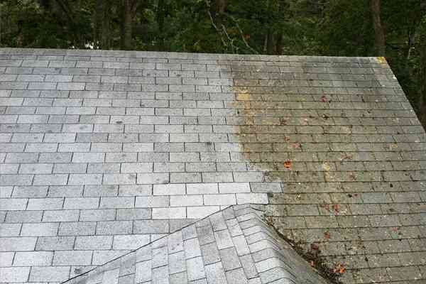 roof-maintenance
